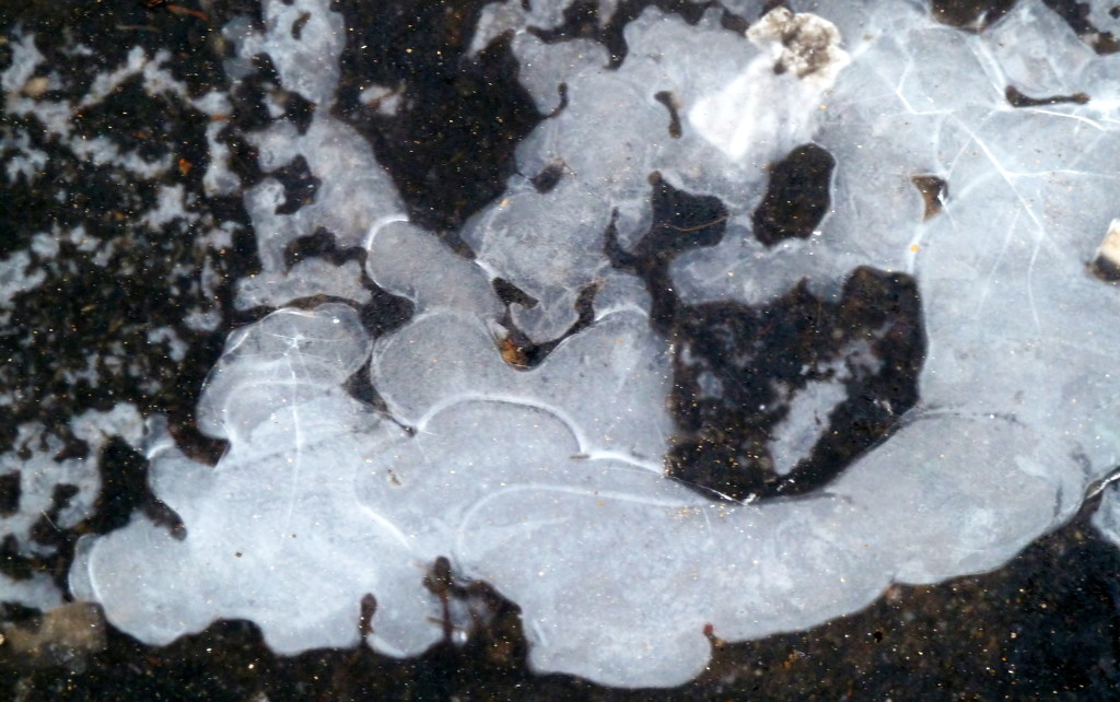 Pavement ice by boxplayer