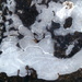 Pavement ice by boxplayer
