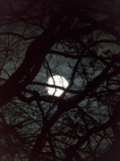 4th Feb 2015 - The Moon tonight
