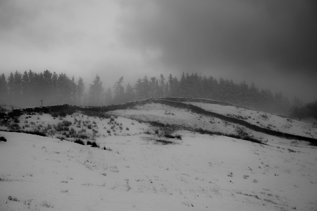 Snowy landscape by overalvandaan