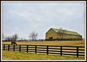 4th Feb 2015 - Pretty barn on the hill