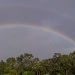Double Rainbow All The Way by corymbia