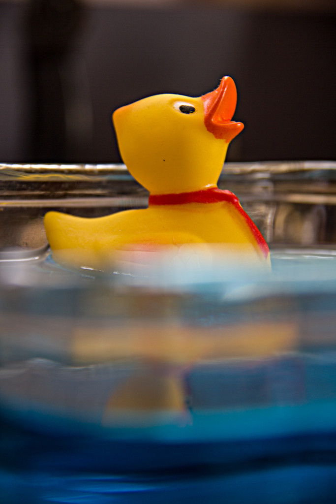Duckie in a blue pond (D-day by randystreat