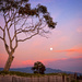 Sunset Moonrise by Weezilou