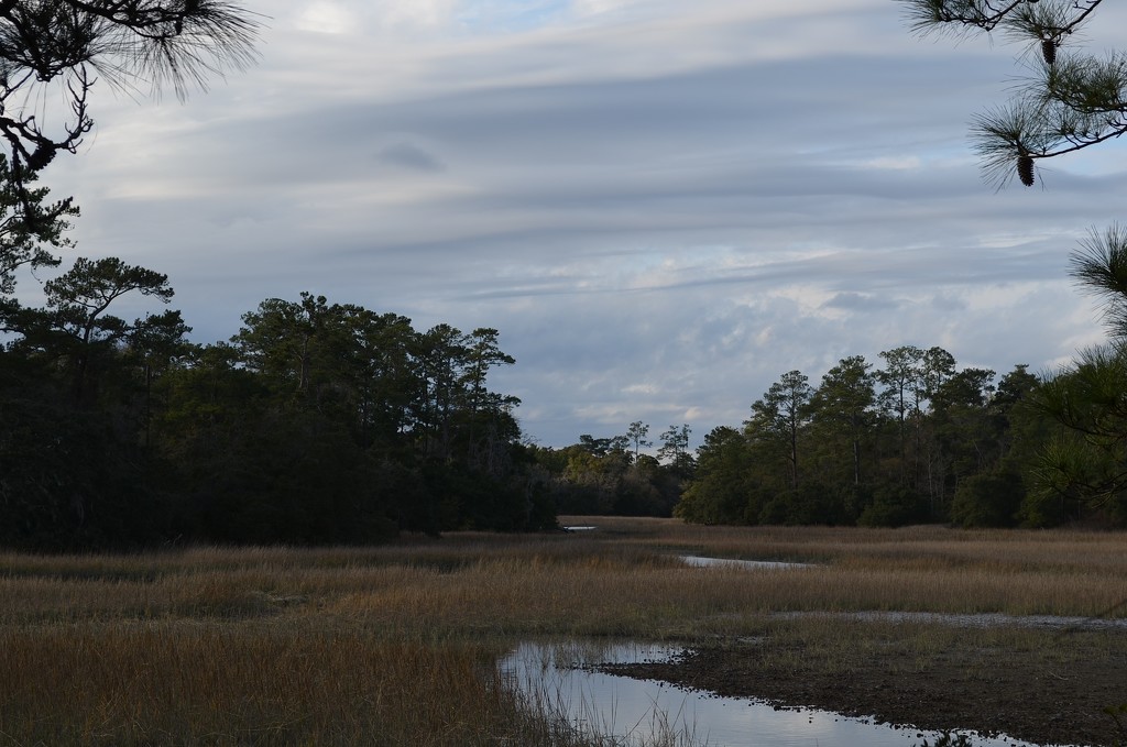 Marsh, sky and  woods, Charles Towne Landing State Historic Site, Charleston, SC by congaree