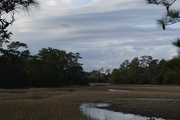 5th Feb 2015 - Marsh, sky and  woods, Charles Towne Landing State Historic Site, Charleston, SC