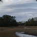 Marsh, sky and  woods, Charles Towne Landing State Historic Site, Charleston, SC by congaree