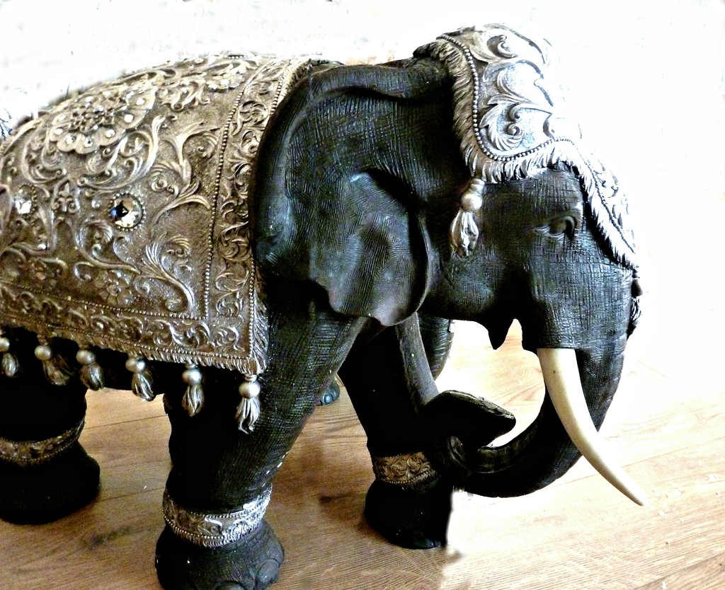 Elephant by wendyfrost