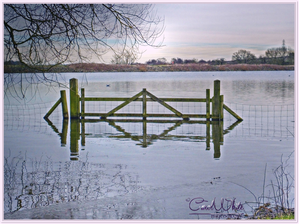 Reservoir Reflections by carolmw