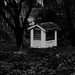 little house by nanderson