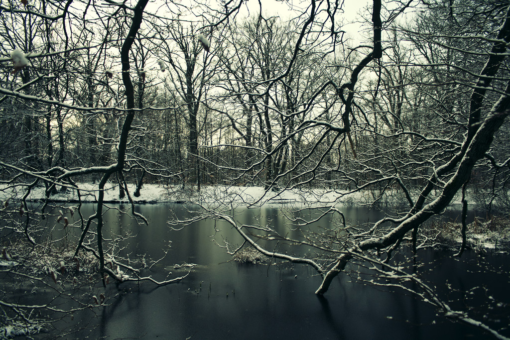 Winter Lake by lily