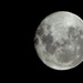 Full Moon by nickspicsnz