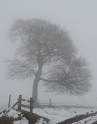 5th Feb 2015 - Foggy on the hills