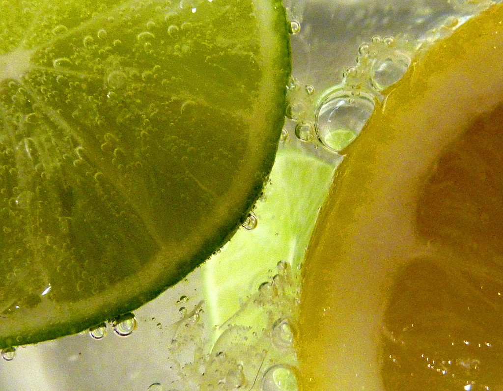 Lime and Lemon by phil_howcroft