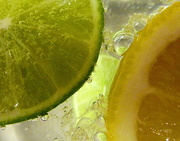 4th Feb 2015 - Lime and Lemon
