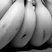 Bananas by stephomy