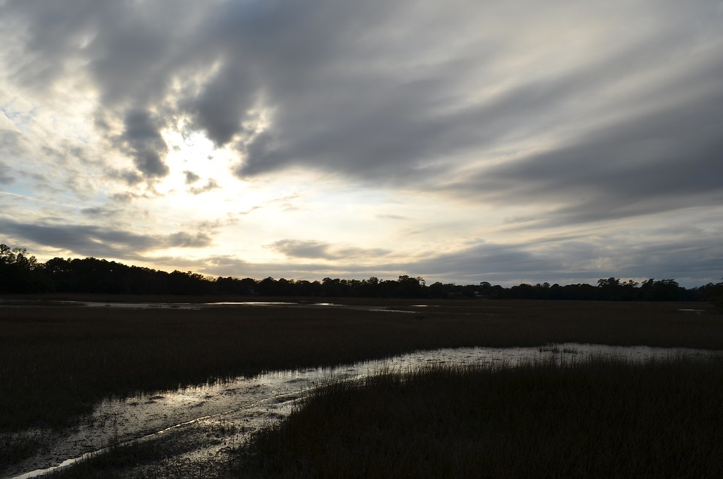 Dramatic skies and marsh, Charles Towne Landing State Historic Site, Charleston, SC by congaree