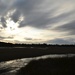 Dramatic skies and marsh, Charles Towne Landing State Historic Site, Charleston, SC by congaree