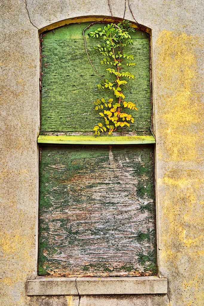 Window and stucco  by soboy5