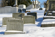 6th Feb 2015 - Cemetery 6