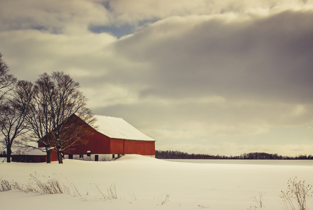 Red Barn by tracymeurs