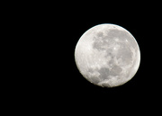 6th Feb 2015 - The Moon