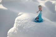 6th Feb 2015 - Frozen