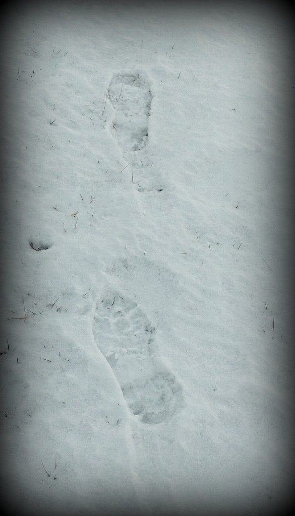 F is for Frozen Footprints by jo38