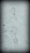 6th Feb 2015 - F is for Frozen Footprints