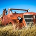 Old Firetruck in the Grass by ckwiseman