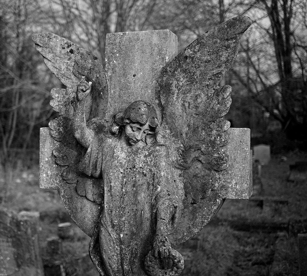 stone angel in the churchyard by quietpurplehaze