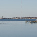 Bitterly cold morning on the bay by mccarth1
