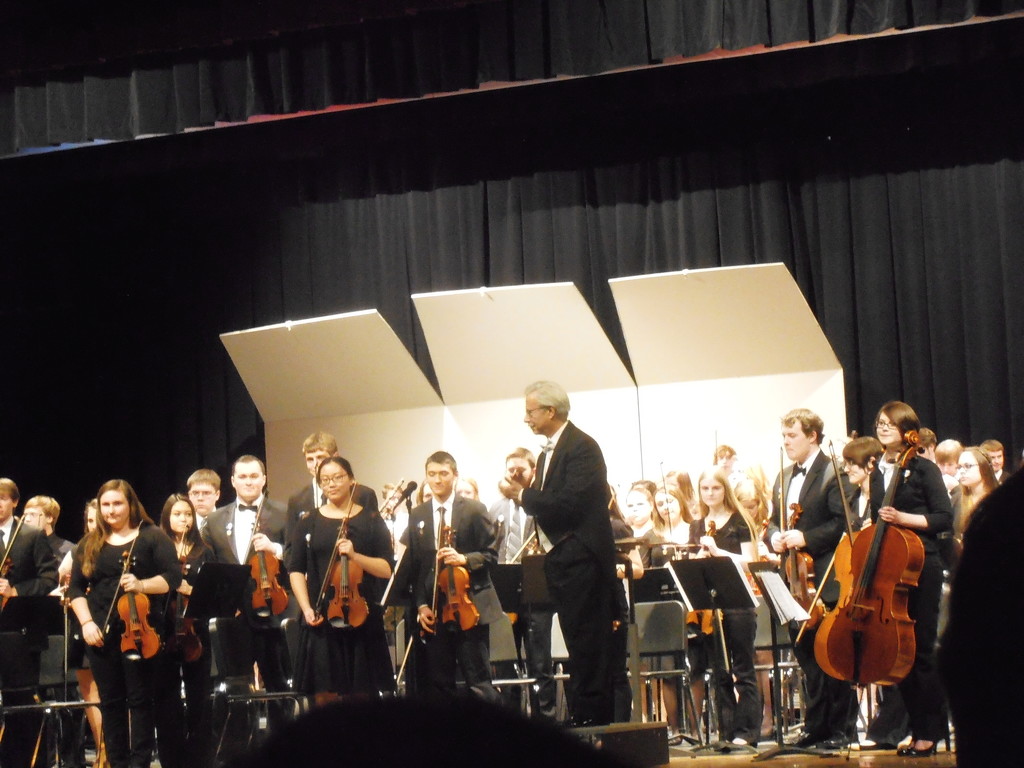 District Orchestra by julie