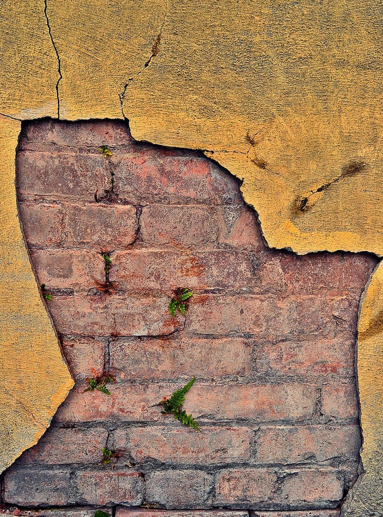 Brick and stucco by soboy5