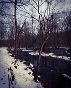 25th Jan 2015 - Up a creek