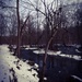 Up a creek by studiouno