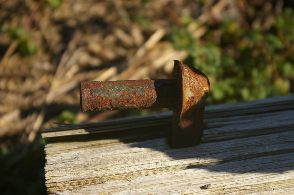 Rust by thewatersphotos