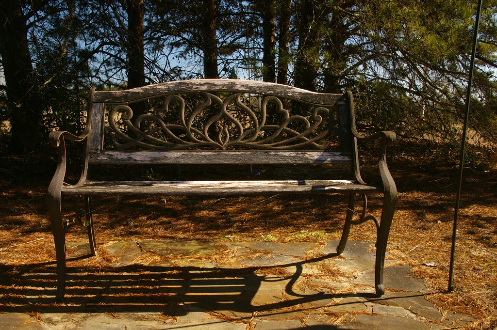 Bench by thewatersphotos