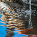 Pond Ripples by ckwiseman
