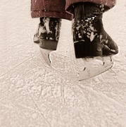4th Feb 2015 - skate