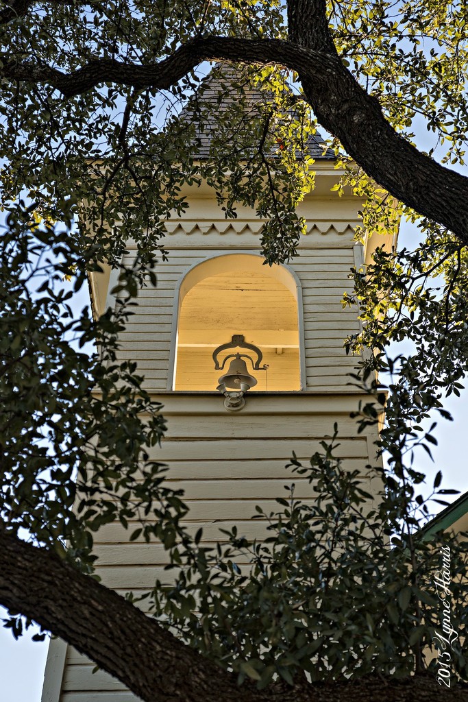 Steeple Bell by lynne5477