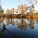 Day 6 - King Edward River by terryliv