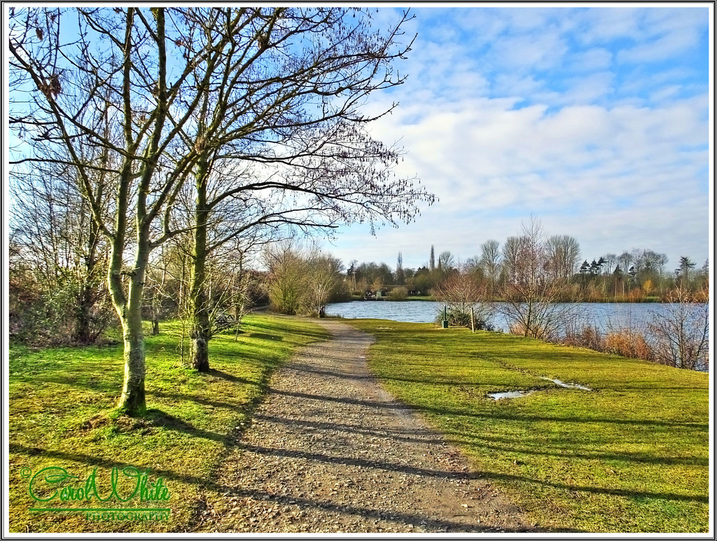 A Walk By The Lake by carolmw