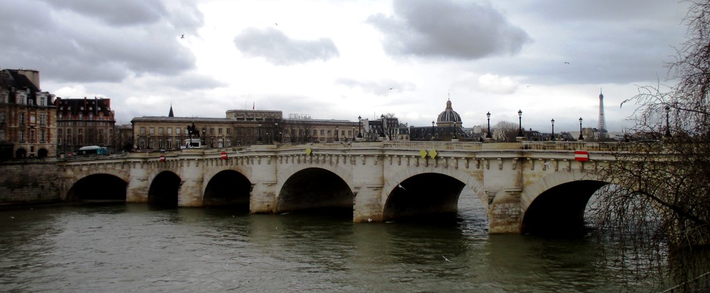 Pont Neuf by fishers