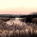 Dusk over the reeds by julienne1