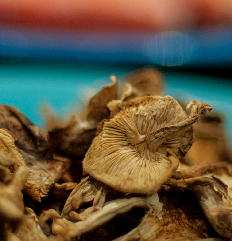 Dried mushrooms by loweygrace
