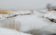 7th Feb 2015 - Tidal river in the snow