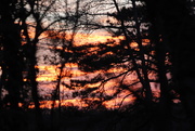 8th Feb 2015 - Sunset out the back door