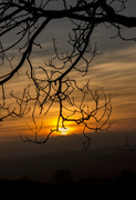 9th Feb 2015 - Charwood sunset