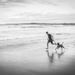 Boy and his dog by abhijit